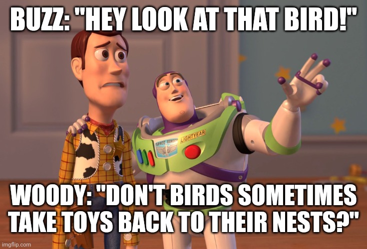 Anti-Meme 35 | BUZZ: "HEY LOOK AT THAT BIRD!"; WOODY: "DON'T BIRDS SOMETIMES TAKE TOYS BACK TO THEIR NESTS?" | image tagged in memes,x x everywhere,anti-meme | made w/ Imgflip meme maker