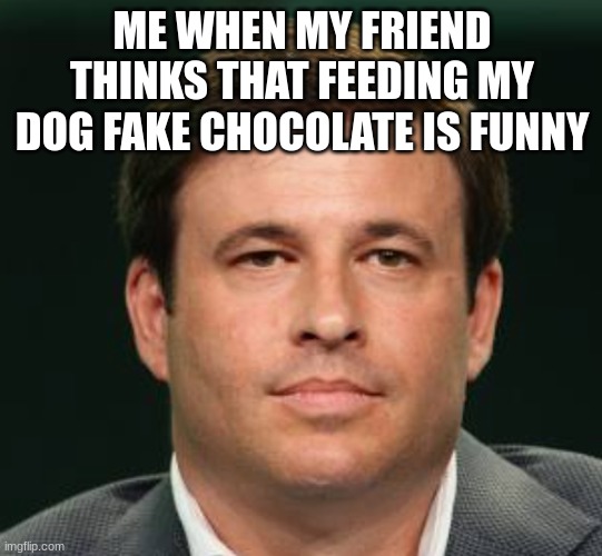 what the dog doing | ME WHEN MY FRIEND THINKS THAT FEEDING MY DOG FAKE CHOCOLATE IS FUNNY | image tagged in funny,lol,toddgraves | made w/ Imgflip meme maker