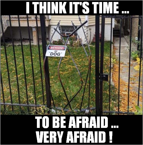 Beware ... The Hound Has Escaped ! | I THINK IT'S TIME ... TO BE AFRAID ...
 VERY AFRAID ! | image tagged in dogs,escape,be arfaid | made w/ Imgflip meme maker