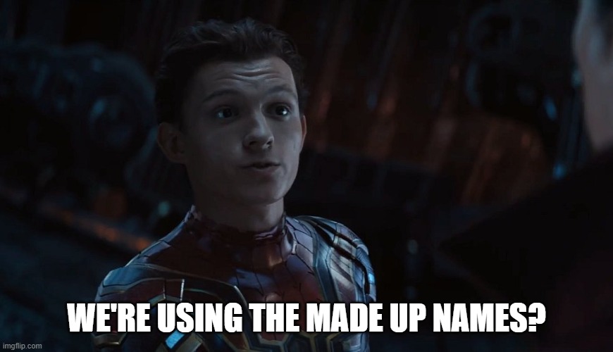 Spider-Man Made Up Names | WE'RE USING THE MADE UP NAMES? | image tagged in spider-man made up names | made w/ Imgflip meme maker