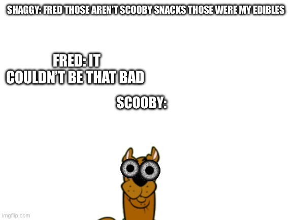 Scooby got edibles | SHAGGY: FRED THOSE AREN’T SCOOBY SNACKS THOSE WERE MY EDIBLES; FRED: IT COULDN’T BE THAT BAD; SCOOBY: | image tagged in blank white template | made w/ Imgflip meme maker