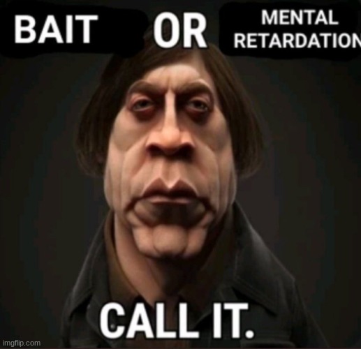 Bait or mental retardation | image tagged in bait or mental retardation | made w/ Imgflip meme maker