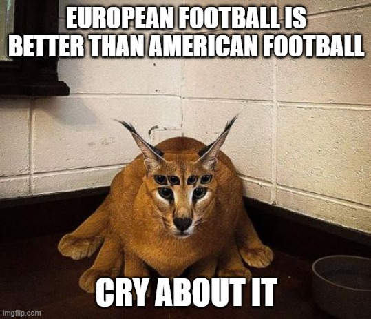 bibically accurate floppa | EUROPEAN FOOTBALL IS BETTER THAN AMERICAN FOOTBALL; CRY ABOUT IT | image tagged in bibically accurate floppa | made w/ Imgflip meme maker