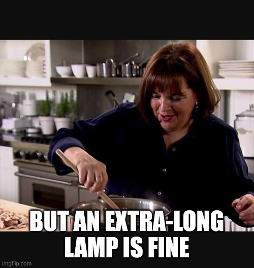 Ina Garten | BUT AN EXTRA-LONG LAMP IS FINE | image tagged in ina garten | made w/ Imgflip meme maker