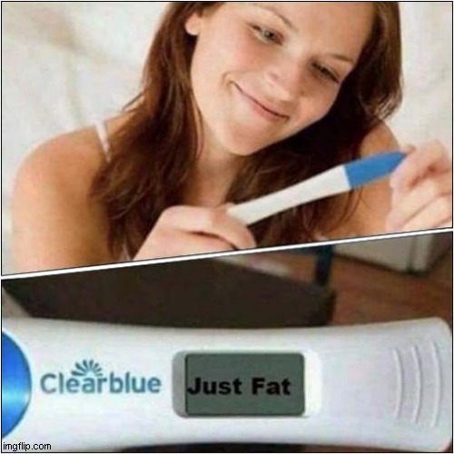 The Results Are In ! | image tagged in pregnancy test,just fat,dark humour | made w/ Imgflip meme maker
