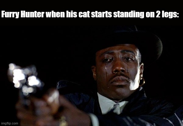 Crying man with gun | Furry Hunter when his cat starts standing on 2 legs: | image tagged in crying man with gun | made w/ Imgflip meme maker