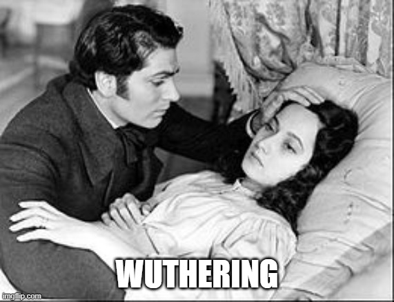 wuthering heights | WUTHERING | image tagged in wuthering heights | made w/ Imgflip meme maker