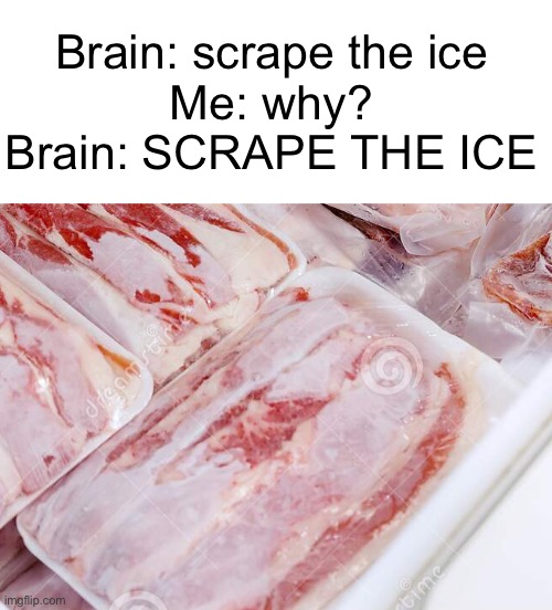 Meme #1,472 | Brain: scrape the ice
Me: why?
Brain: SCRAPE THE ICE | image tagged in relatable,so true,meat,ice,memes,funny | made w/ Imgflip meme maker