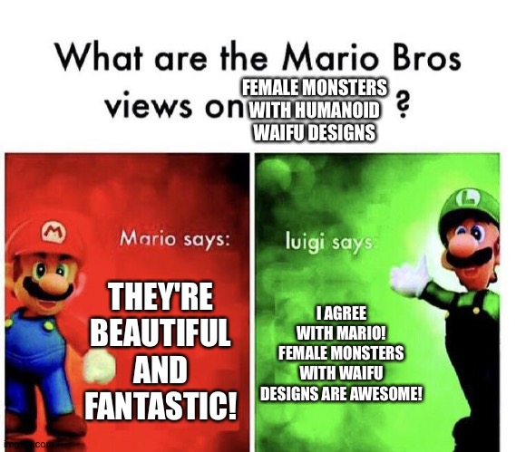 Even Mario and Luigi love Female Humanoid monsters with Humanoid waifu designs! | FEMALE MONSTERS WITH HUMANOID WAIFU DESIGNS; THEY'RE BEAUTIFUL AND FANTASTIC! I AGREE WITH MARIO! FEMALE MONSTERS WITH WAIFU DESIGNS ARE AWESOME! | image tagged in mario bros views | made w/ Imgflip meme maker