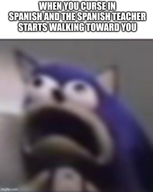 OH MIERDA!!! | WHEN YOU CURSE IN SPANISH AND THE SPANISH TEACHER STARTS WALKING TOWARD YOU | image tagged in distress,spanish,sonic,perfect face | made w/ Imgflip meme maker