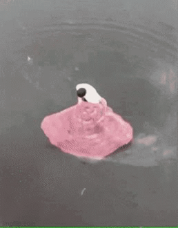 7mujvj.gif