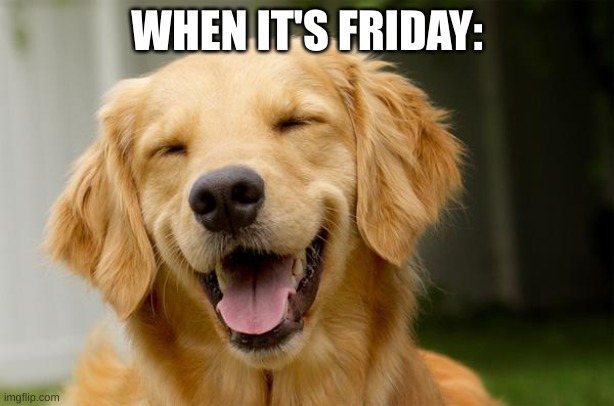Friday be like | WHEN IT'S FRIDAY: | image tagged in happy dog | made w/ Imgflip meme maker