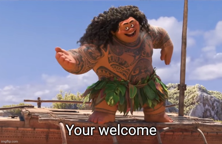 you're welcome without subs | Your welcome | image tagged in you're welcome without subs | made w/ Imgflip meme maker