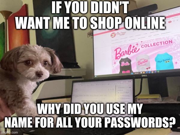 Online shopping | IF YOU DIDN’T WANT ME TO SHOP ONLINE; WHY DID YOU USE MY NAME FOR ALL YOUR PASSWORDS? | made w/ Imgflip meme maker