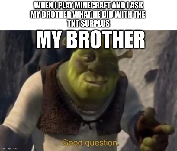 Shrek good question | WHEN I PLAY MINECRAFT AND I ASK
MY BROTHER WHAT HE DID WITH THE 
TNT SURPLUS; MY BROTHER | image tagged in shrek good question | made w/ Imgflip meme maker