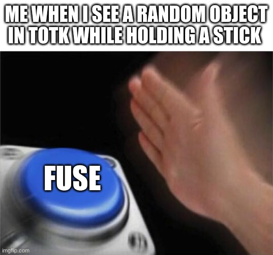 the flame emitter is hella good for fusions | ME WHEN I SEE A RANDOM OBJECT IN TOTK WHILE HOLDING A STICK; FUSE | image tagged in memes,blank nut button,tears of the kingdom,the legend of zelda,fuse | made w/ Imgflip meme maker