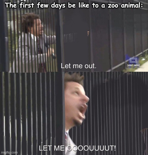 Animals on their first few days: | The first few days be like to a zoo animal: | image tagged in let me out | made w/ Imgflip meme maker