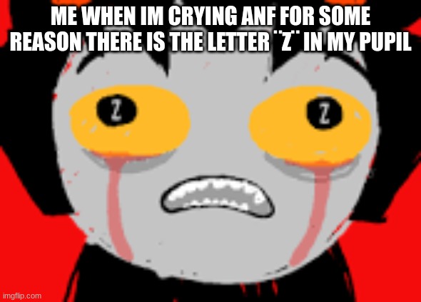 ME WHEN IM CRYING ANF FOR SOME REASON THERE IS THE LETTER ¨Z¨ IN MY PUPIL | image tagged in homestuck | made w/ Imgflip meme maker