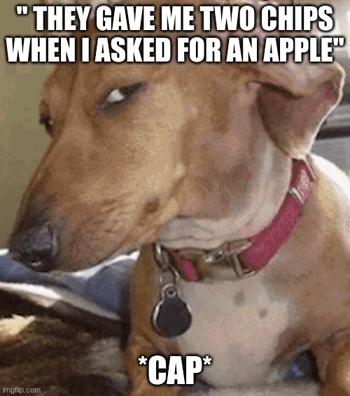 Wrong order much | " THEY GAVE ME TWO CHIPS WHEN I ASKED FOR AN APPLE"; *CAP* | image tagged in side eye dog | made w/ Imgflip meme maker
