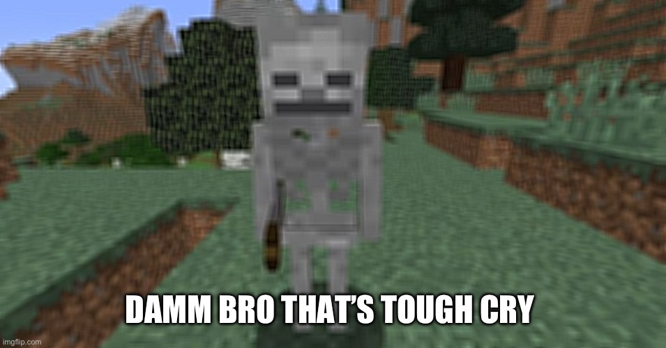 When you see a skeleton we all know that means | DAMM BRO THAT’S TOUGH CRY | image tagged in minecraft skeleton,cry about it,every fear | made w/ Imgflip meme maker