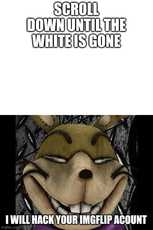 Scroll Until The White Is Gone | SCROLL DOWN UNTIL THE WHITE IS GONE; I WILL HACK YOUR IMGFLIP ACOUNT | image tagged in fnaf | made w/ Imgflip meme maker