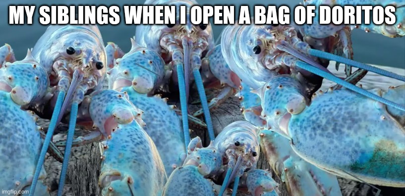 Very relatable | MY SIBLINGS WHEN I OPEN A BAG OF DORITOS | image tagged in memes | made w/ Imgflip meme maker