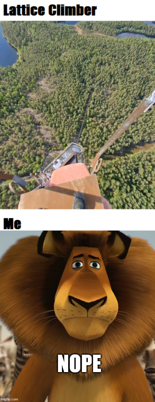 NOPE | image tagged in lattice climbing | made w/ Imgflip meme maker