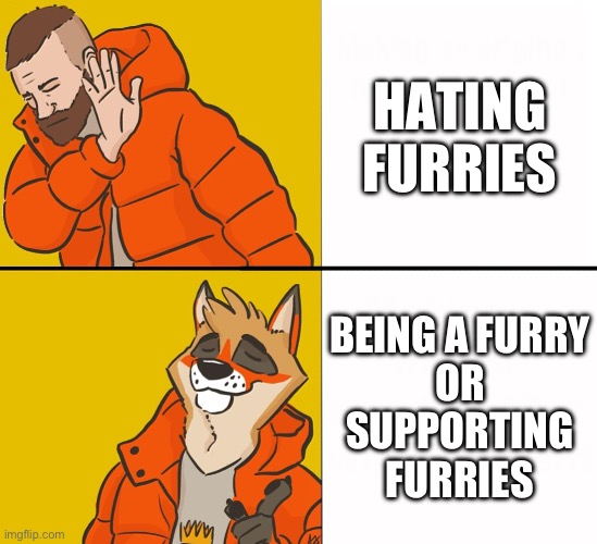 furry | HATING FURRIES; BEING A FURRY
OR
SUPPORTING FURRIES | image tagged in furry drake,furry,furry memes | made w/ Imgflip meme maker
