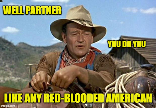 John wayne | WELL PARTNER LIKE ANY RED-BLOODED AMERICAN YOU DO YOU | image tagged in john wayne | made w/ Imgflip meme maker