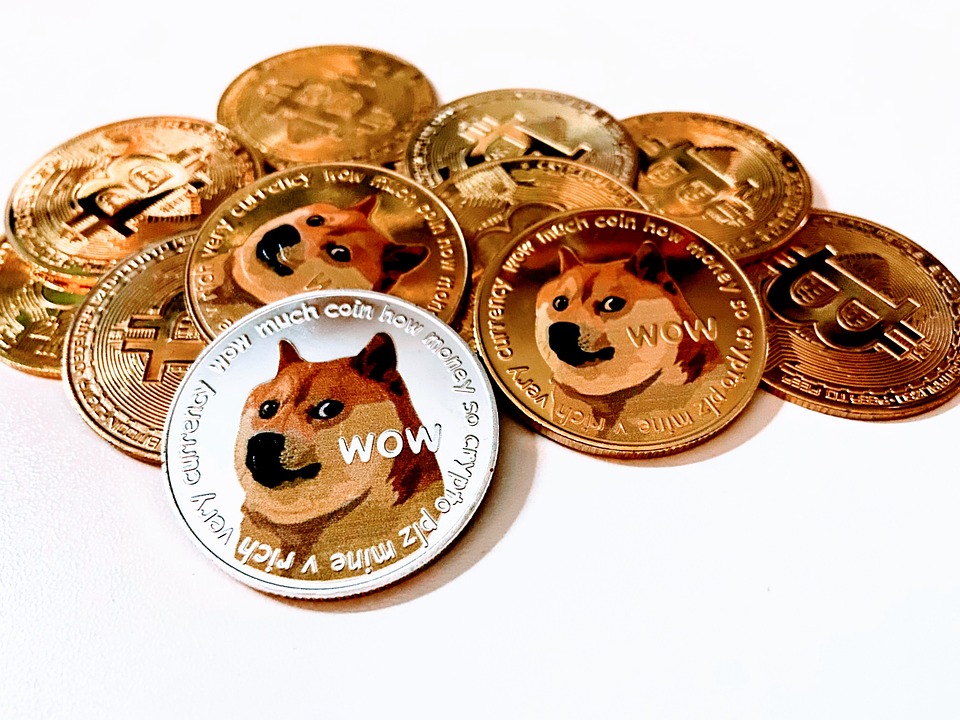 much dogecoin pile Blank Meme Template