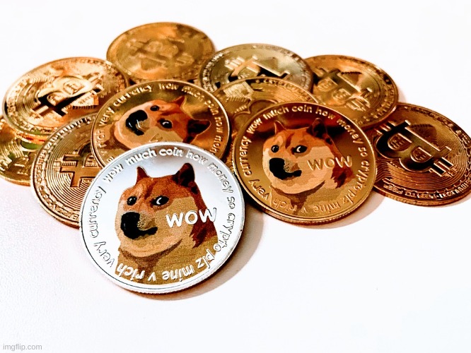 much dogecoin pile | image tagged in much dogecoin pile | made w/ Imgflip meme maker