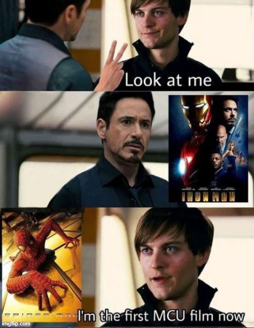 I Mean Unless Wesley Shows Up | image tagged in mcu,spiderman | made w/ Imgflip meme maker