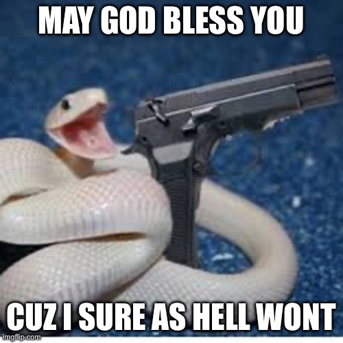 May god bless you | MAY GOD BLESS YOU; CUZ I SURE AS HELL WON’T | image tagged in snake got gun,memes,funny,snakes | made w/ Imgflip meme maker