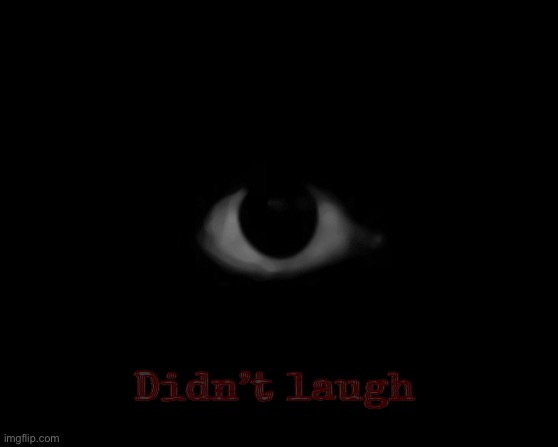 Didn’t laugh | Didn’t laugh | image tagged in eye | made w/ Imgflip meme maker