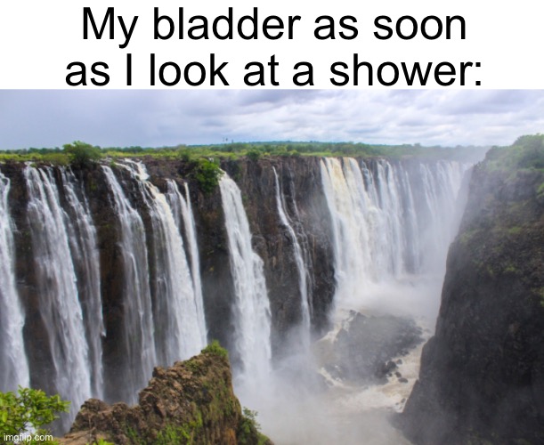 Meme #1,477 | My bladder as soon as I look at a shower: | image tagged in memes,shower,pee,relatable,so true,literally | made w/ Imgflip meme maker