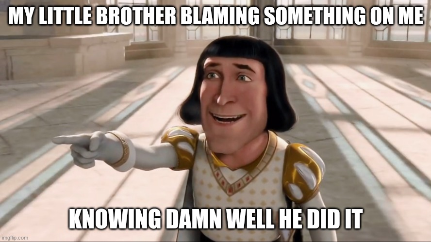 ALL THE TIME | MY LITTLE BROTHER BLAMING SOMETHING ON ME; KNOWING DAMN WELL HE DID IT | image tagged in farquaad pointing,shrek,relatable,funny,delicious | made w/ Imgflip meme maker