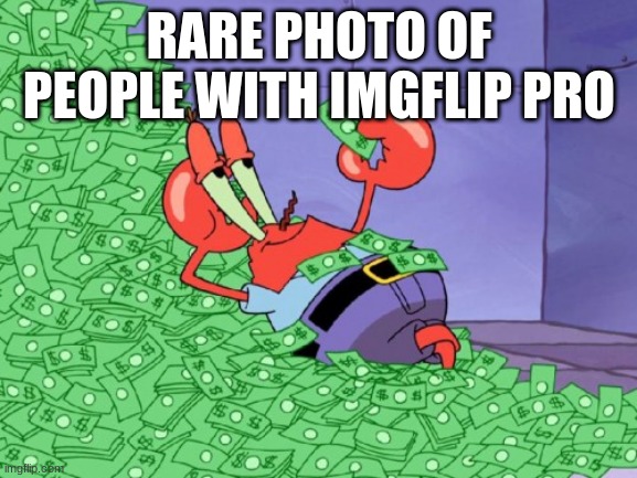 Ye | RARE PHOTO OF PEOPLE WITH IMGFLIP PRO | image tagged in mr krabs money,memes,imgflip pro | made w/ Imgflip meme maker
