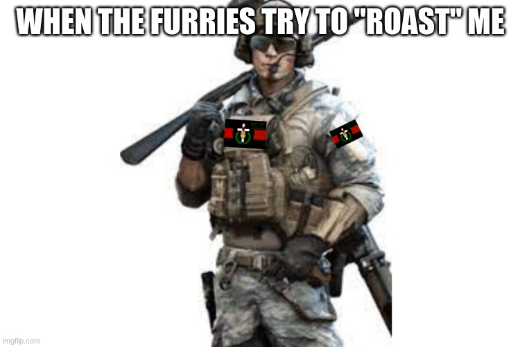 yes | WHEN THE FURRIES TRY TO "ROAST" ME | image tagged in aftf marine | made w/ Imgflip meme maker