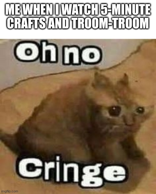 oH nO cRInGe | ME WHEN I WATCH 5-MINUTE CRAFTS AND TROOM-TROOM | image tagged in oh no cringe | made w/ Imgflip meme maker