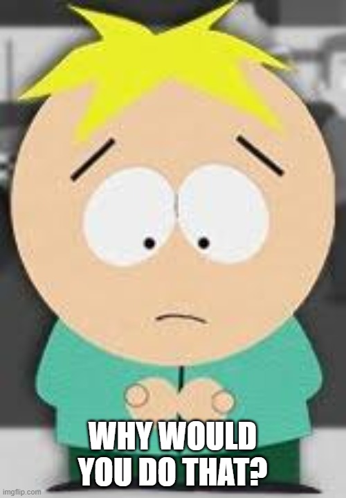 Butters | WHY WOULD YOU DO THAT? | image tagged in butters | made w/ Imgflip meme maker