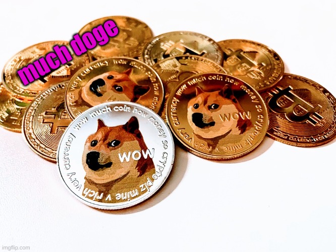 doge | much doge | image tagged in much dogecoin pile | made w/ Imgflip meme maker