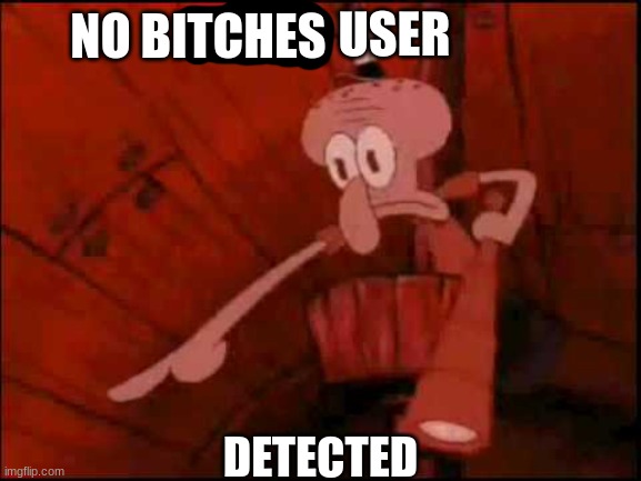lgbtq user spotted detected squidward meme | DETECTED NO BITCHES | image tagged in lgbtq user spotted detected squidward meme | made w/ Imgflip meme maker