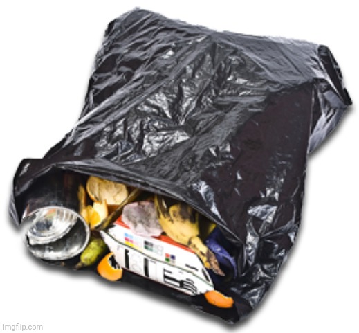 trash bag | image tagged in trash bag | made w/ Imgflip meme maker