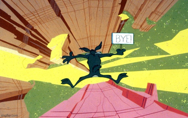 Wile E Coyote falling off of cliff | image tagged in wile e coyote falling off of cliff | made w/ Imgflip meme maker