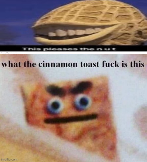 What the- | image tagged in what the cinnamon toast f is this,memes,funny | made w/ Imgflip meme maker