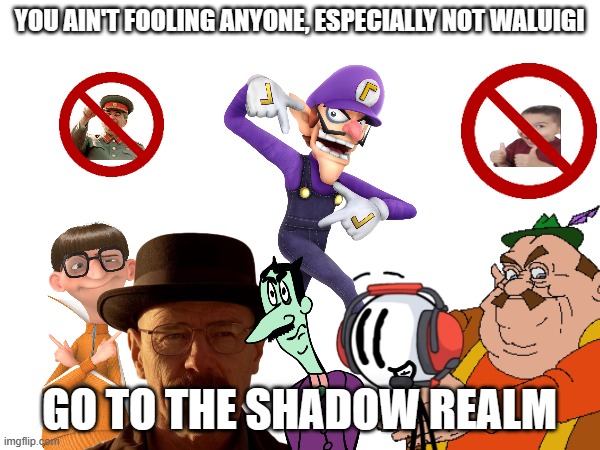YOU AIN'T FOOLING ANYONE, ESPECIALLY NOT WALUIGI GO TO THE SHADOW REALM | made w/ Imgflip meme maker