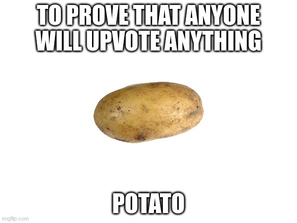 P O T A T O | TO PROVE THAT ANYONE WILL UPVOTE ANYTHING; POTATO | image tagged in memes,potato | made w/ Imgflip meme maker