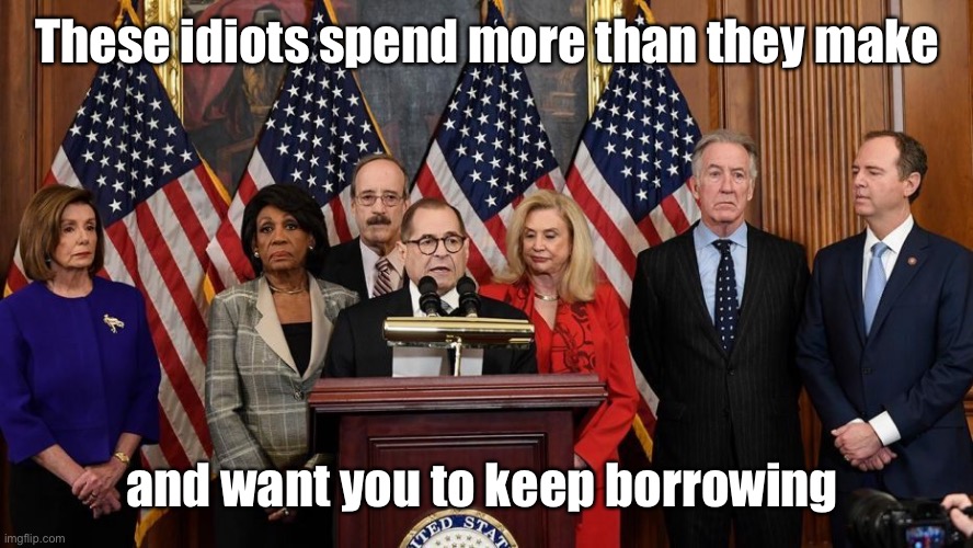 House Democrats | These idiots spend more than they make and want you to keep borrowing | image tagged in house democrats | made w/ Imgflip meme maker