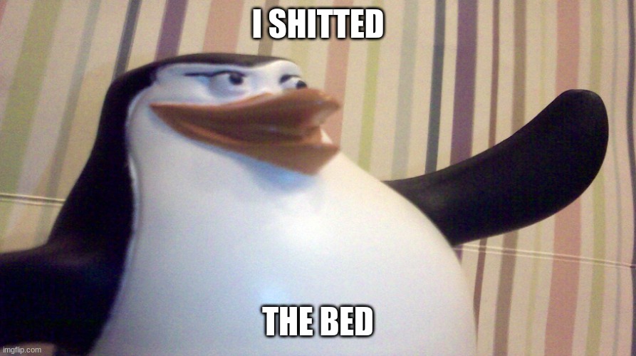 i shitted the bed | I SHITTED; THE BED | image tagged in skipper,funny,fun,random | made w/ Imgflip meme maker