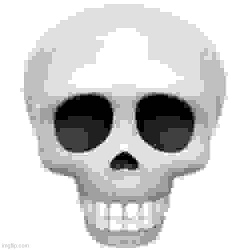 Skull | image tagged in skull | made w/ Imgflip meme maker